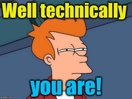 Well technically you are! | image tagged in memes,futurama fry | made w/ Imgflip meme maker