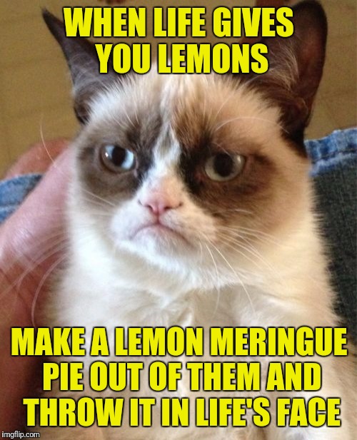 Grumpy Cat | WHEN LIFE GIVES YOU LEMONS; MAKE A LEMON MERINGUE PIE OUT OF THEM AND THROW IT IN LIFE'S FACE | image tagged in memes,grumpy cat,when life gives you lemons,lemons,pie | made w/ Imgflip meme maker