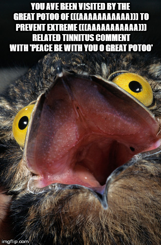 great potoo | YOU AVE BEEN VISITED BY THE GREAT POTOO OF (((AAAAAAAAAAA)))
TO PREVENT EXTREME (((AAAAAAAAAAA))) RELATED TINNITUS COMMENT WITH 'PEACE BE WITH YOU O GREAT POTOO' | image tagged in bird | made w/ Imgflip meme maker