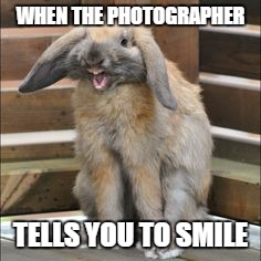 When the photographer tells you to smile | WHEN THE PHOTOGRAPHER; TELLS YOU TO SMILE | image tagged in rabbit,yawning,rabbit yawning,photographs | made w/ Imgflip meme maker