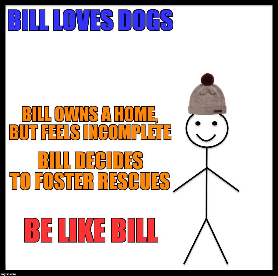Be Like Bill Meme |  BILL LOVES DOGS; BILL OWNS A HOME, BUT FEELS INCOMPLETE; BILL DECIDES TO FOSTER RESCUES; BE LIKE BILL | image tagged in memes,be like bill | made w/ Imgflip meme maker
