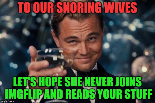 Leonardo Dicaprio Cheers Meme | TO OUR SNORING WIVES LET'S HOPE SHE NEVER JOINS IMGFLIP AND READS YOUR STUFF | image tagged in memes,leonardo dicaprio cheers | made w/ Imgflip meme maker