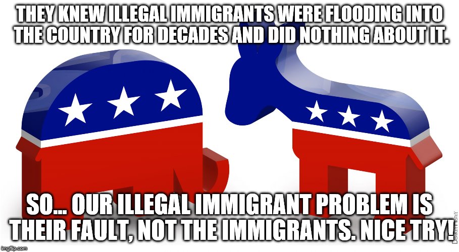 Politics | THEY KNEW ILLEGAL IMMIGRANTS WERE FLOODING INTO THE COUNTRY FOR DECADES AND DID NOTHING ABOUT IT. SO... OUR ILLEGAL IMMIGRANT PROBLEM IS THEIR FAULT, NOT THE IMMIGRANTS. NICE TRY! | image tagged in politics | made w/ Imgflip meme maker