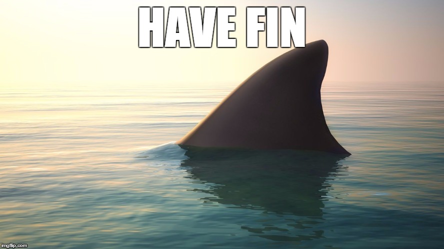 HAVE FIN | image tagged in pun,shark | made w/ Imgflip meme maker