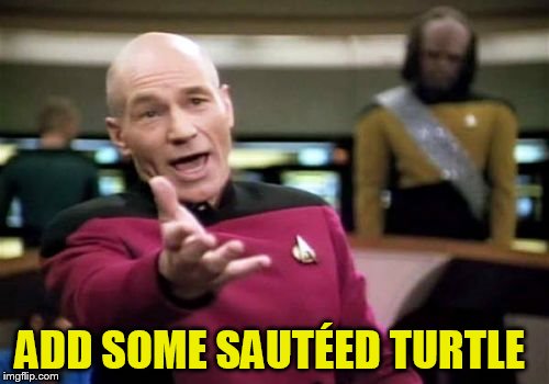 Picard Wtf Meme | ADD SOME SAUTÉED TURTLE | image tagged in memes,picard wtf | made w/ Imgflip meme maker