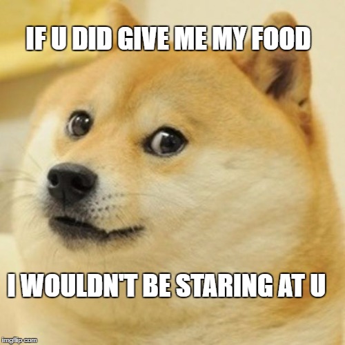 Doge | IF U DID GIVE ME MY FOOD; I WOULDN'T BE STARING AT U | image tagged in memes,doge | made w/ Imgflip meme maker