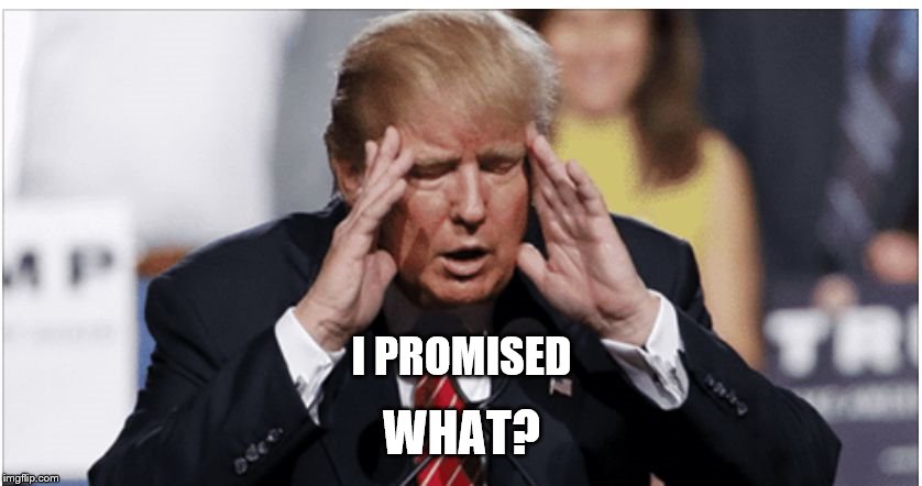 I PROMISED; WHAT? | image tagged in trump | made w/ Imgflip meme maker