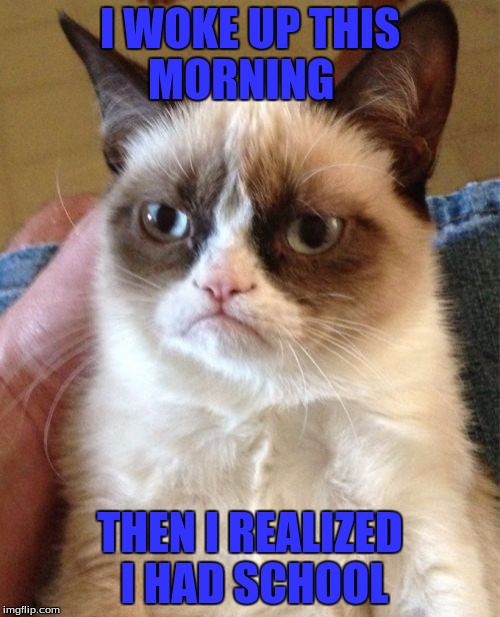 I Thought Today Was Saturday | I WOKE UP THIS MORNING; THEN I REALIZED I HAD SCHOOL | image tagged in memes,grumpy cat | made w/ Imgflip meme maker