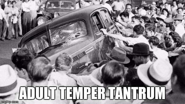 riot in the 1940's | ADULT TEMPER TANTRUM | image tagged in riot in the 1940's | made w/ Imgflip meme maker