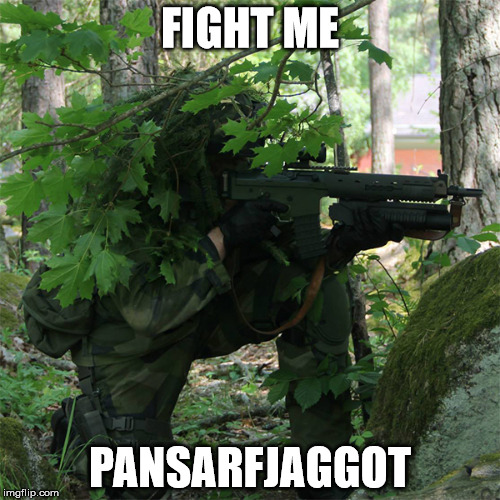 FIGHT ME; PANSARFJAGGOT | image tagged in swedish_soldier1 | made w/ Imgflip meme maker