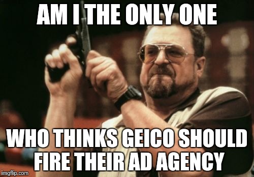 Am I The Only One Around Here Meme | AM I THE ONLY ONE; WHO THINKS GEICO SHOULD FIRE THEIR AD AGENCY | image tagged in memes,am i the only one around here | made w/ Imgflip meme maker