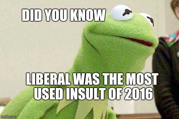 Millennial was a close 2nd | DID YOU KNOW; LIBERAL WAS THE MOST USED INSULT OF 2016 | image tagged in did you know kermit,liberals,funny,political meme,politics | made w/ Imgflip meme maker