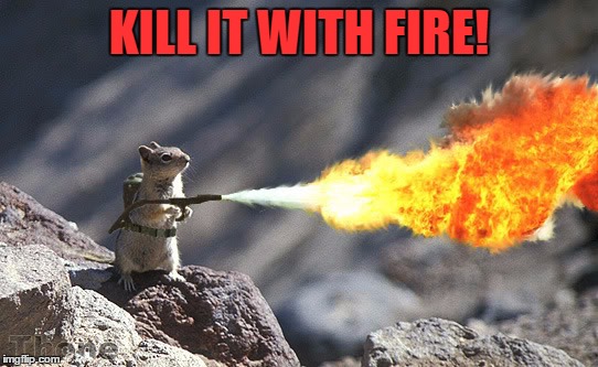 Flame War Squirrel | KILL IT WITH FIRE! | image tagged in flame war squirrel | made w/ Imgflip meme maker