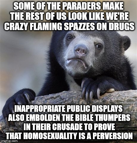 Confession Bear Meme | SOME OF THE PARADERS MAKE THE REST OF US LOOK LIKE WE'RE CRAZY FLAMING SPAZZES ON DRUGS INAPPROPRIATE PUBLIC DISPLAYS ALSO EMBOLDEN THE BIBL | image tagged in memes,confession bear | made w/ Imgflip meme maker