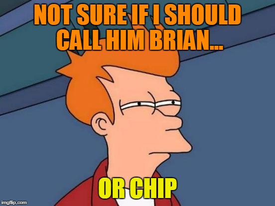 Futurama Fry Meme | NOT SURE IF I SHOULD CALL HIM BRIAN... OR CHIP | image tagged in memes,futurama fry | made w/ Imgflip meme maker