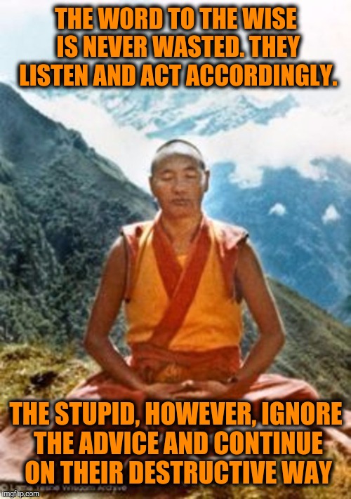THE WORD TO THE WISE IS NEVER WASTED. THEY LISTEN AND ACT ACCORDINGLY. THE STUPID, HOWEVER, IGNORE THE ADVICE AND CONTINUE ON THEIR DESTRUCT | made w/ Imgflip meme maker