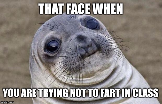 Awkward Moment Sealion Meme | THAT FACE WHEN; YOU ARE TRYING NOT TO FART IN CLASS | image tagged in memes,awkward moment sealion | made w/ Imgflip meme maker