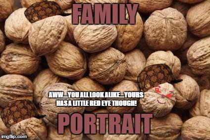 Family of nuts | image tagged in funny memes,nuts | made w/ Imgflip meme maker