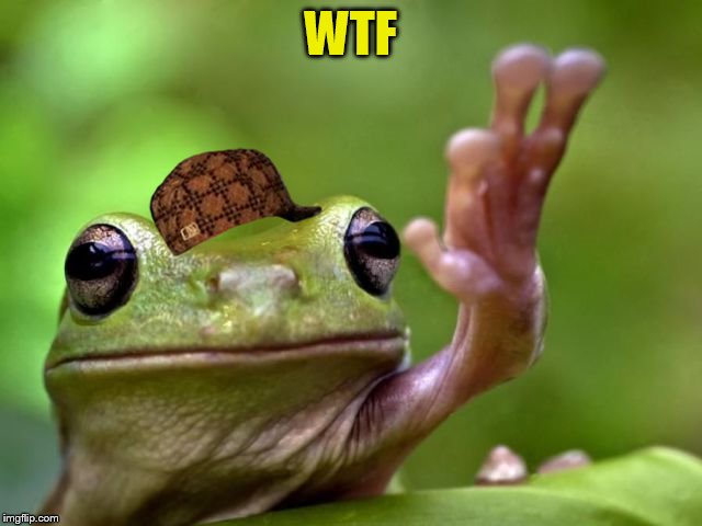 WTF | image tagged in scumbag | made w/ Imgflip meme maker