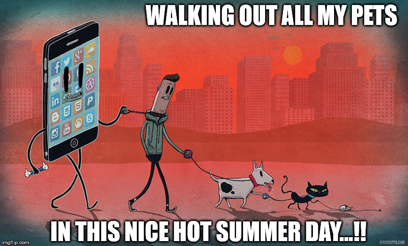 Pet Hierarchy  | WALKING OUT ALL MY PETS; IN THIS NICE HOT SUMMER DAY...!! | image tagged in pets,cats,dog,walking cat,walking dog,smartphone | made w/ Imgflip meme maker