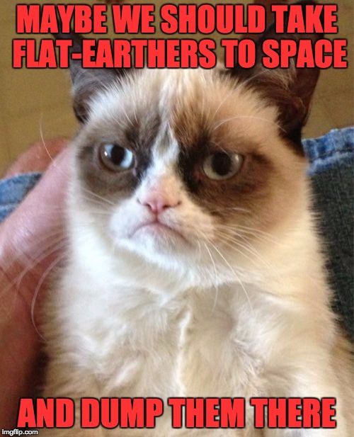 Grumpy Cat Meme | MAYBE WE SHOULD TAKE FLAT-EARTHERS TO SPACE AND DUMP THEM THERE | image tagged in memes,grumpy cat | made w/ Imgflip meme maker