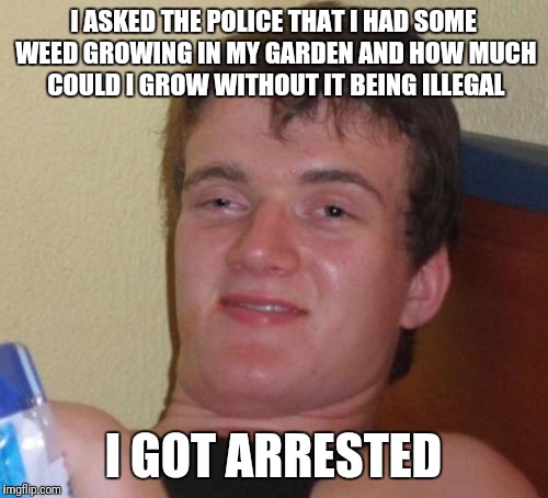 That one person... | I ASKED THE POLICE THAT I HAD SOME WEED GROWING IN MY GARDEN AND HOW MUCH COULD I GROW WITHOUT IT BEING ILLEGAL; I GOT ARRESTED | image tagged in memes,10 guy | made w/ Imgflip meme maker