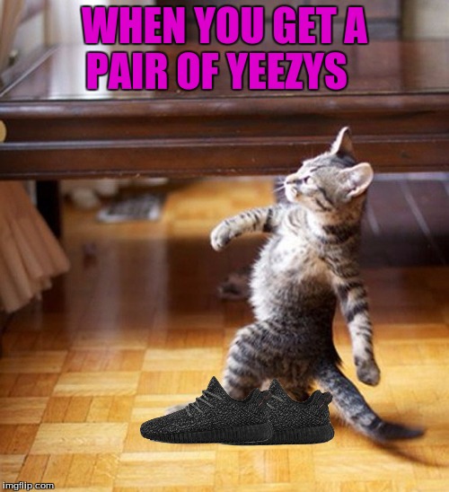Swag Overload  | WHEN YOU GET A PAIR OF YEEZYS | image tagged in cat walking like a boss,cats | made w/ Imgflip meme maker