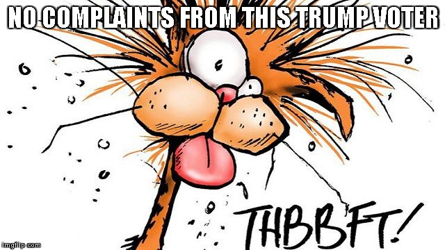 Bill the Cat THBBFT | NO COMPLAINTS FROM THIS TRUMP VOTER | image tagged in bill the cat thbbft | made w/ Imgflip meme maker
