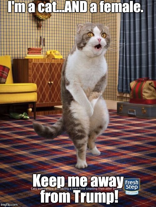 Gotta Go Cat | I'm a cat...AND a female. Keep me away from Trump! | image tagged in memes,gotta go cat | made w/ Imgflip meme maker