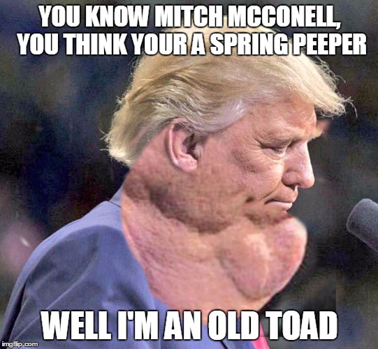 YOU KNOW MITCH MCCONELL, YOU THINK YOUR A SPRING PEEPER; WELL I'M AN OLD TOAD | image tagged in mitch mcconnell,trumpfatface,trumpfatneck,trumpocconnell,trumptoad | made w/ Imgflip meme maker