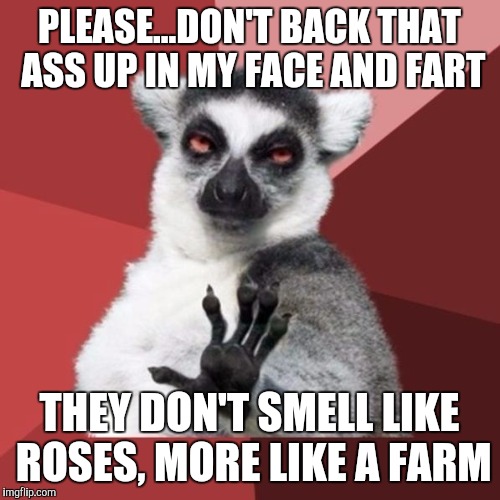 Chill Out Lemur Meme | PLEASE...DON'T BACK THAT ASS UP IN MY FACE AND FART; THEY DON'T SMELL LIKE ROSES, MORE LIKE A FARM | image tagged in memes,chill out lemur | made w/ Imgflip meme maker
