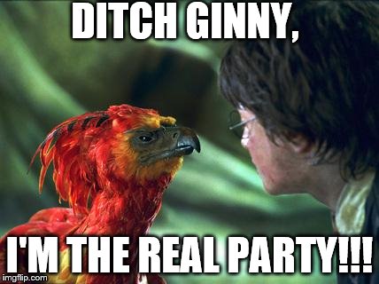Phoenix Harry potter | DITCH GINNY, I'M THE REAL PARTY!!! | image tagged in phoenix harry potter | made w/ Imgflip meme maker