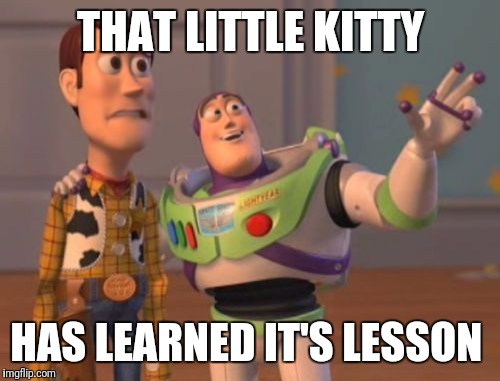 X, X Everywhere Meme | THAT LITTLE KITTY HAS LEARNED IT'S LESSON | image tagged in memes,x x everywhere | made w/ Imgflip meme maker