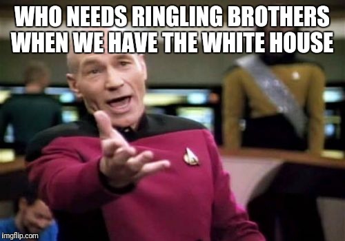 Picard Wtf Meme | WHO NEEDS RINGLING BROTHERS WHEN WE HAVE THE WHITE HOUSE | image tagged in memes,picard wtf | made w/ Imgflip meme maker