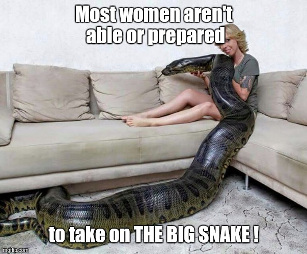BulgingSnake | Most women aren't able or prepared; to take on THE BIG SNAKE ! | image tagged in snake charmer,warning snake,anaconda,memes,massive,monster | made w/ Imgflip meme maker
