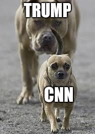 You're fake news |  TRUMP; CNN | image tagged in big dog little dog,trump,cnn,cnn sucks,fake news | made w/ Imgflip meme maker