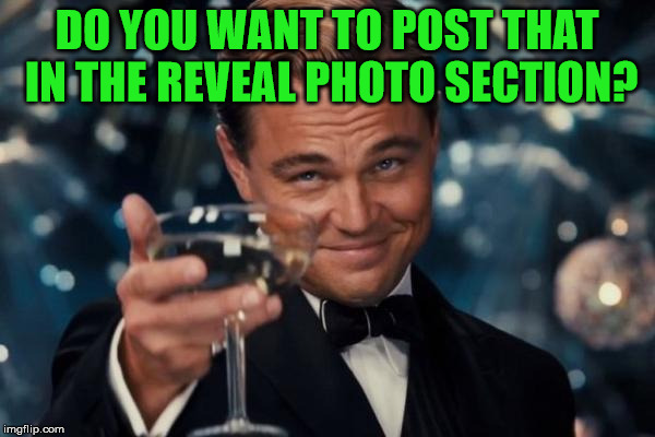 Leonardo Dicaprio Cheers Meme | DO YOU WANT TO POST THAT IN THE REVEAL PHOTO SECTION? | image tagged in memes,leonardo dicaprio cheers | made w/ Imgflip meme maker