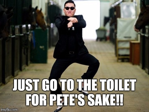 Psy Horse Dance | JUST GO TO THE TOILET FOR PETE'S SAKE!! | image tagged in memes,psy horse dance | made w/ Imgflip meme maker
