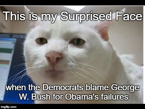 Surprised Face | This is my Surprised Face; when the Democrats blame George W. Bush for Obama's failures | image tagged in surprised face | made w/ Imgflip meme maker