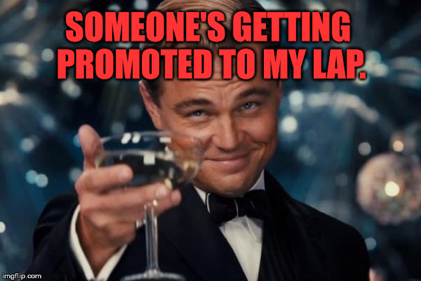 Leonardo Dicaprio Cheers Meme | SOMEONE'S GETTING PROMOTED TO MY LAP. | image tagged in memes,leonardo dicaprio cheers | made w/ Imgflip meme maker