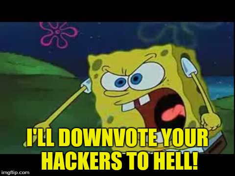 I'LL DOWNVOTE YOUR HACKERS TO HELL! | made w/ Imgflip meme maker