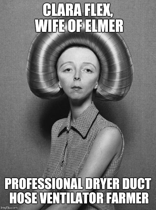 It was either this or a comment about recycling old dryer vent hoses | CLARA FLEX, WIFE OF ELMER; PROFESSIONAL DRYER DUCT HOSE VENTILATOR FARMER | image tagged in weird picture,duct hose | made w/ Imgflip meme maker