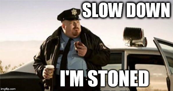 SLOW DOWN; I'M STONED | image tagged in pig | made w/ Imgflip meme maker