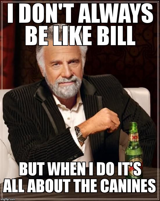 The Most Interesting Man In The World Meme | I DON'T ALWAYS BE LIKE BILL BUT WHEN I DO IT'S ALL ABOUT THE CANINES | image tagged in memes,the most interesting man in the world | made w/ Imgflip meme maker