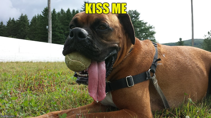 KISS ME | made w/ Imgflip meme maker