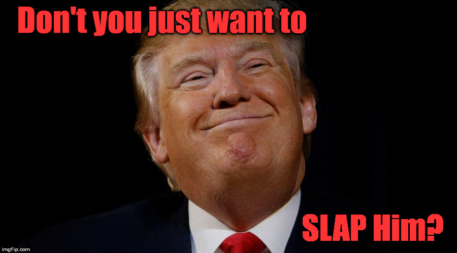 Don't you just want to; SLAP Him? | image tagged in trump smirk slap | made w/ Imgflip meme maker