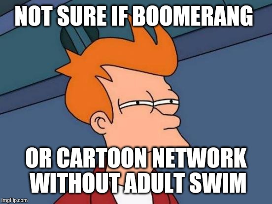 like i said, boomerang is also getting lame like cartoon network  | NOT SURE IF BOOMERANG; OR CARTOON NETWORK WITHOUT ADULT SWIM | image tagged in memes,futurama fry,cartoon network,boomerang | made w/ Imgflip meme maker