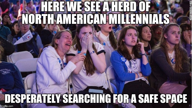 Sad Little Snowflakes | HERE WE SEE A HERD OF NORTH AMERICAN MILLENNIALS; DESPERATELY SEARCHING FOR A SAFE SPACE | image tagged in memes | made w/ Imgflip meme maker