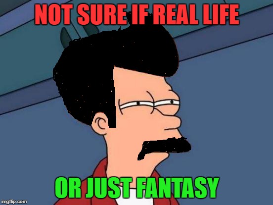 Futurama Fry Meme | NOT SURE IF REAL LIFE; OR JUST FANTASY | image tagged in memes,futurama fry | made w/ Imgflip meme maker