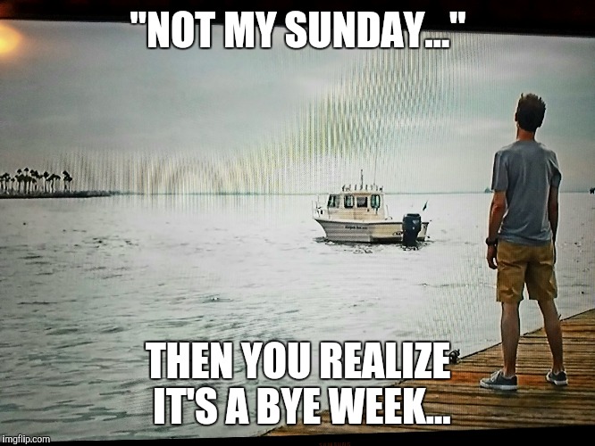 Not my Sunday | "NOT MY SUNDAY..."; THEN YOU REALIZE IT'S A BYE WEEK... | image tagged in not my sunday | made w/ Imgflip meme maker